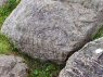 Tomb 7