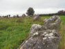 Tomb 19