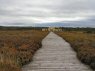 Picture from end of boardwalk looking back to the musuem