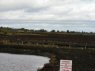 Retaining ponds to raise level of water in the protected bog