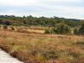 Retaining ponds to raise level of water in the protected bog
