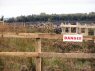 Retaining ponds to raise level of water in the protected bog