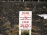 Retaining ponds to raise level of water in the protected bog