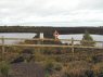 Retaining ponds to raise level of water in the protected bog