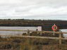 Retaining ponds to raise level of water in the protected bog