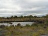 Retaining ponds to raise level of water in the protected bog